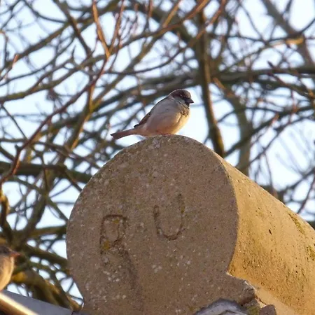 Gulfhof Siebelshoern *